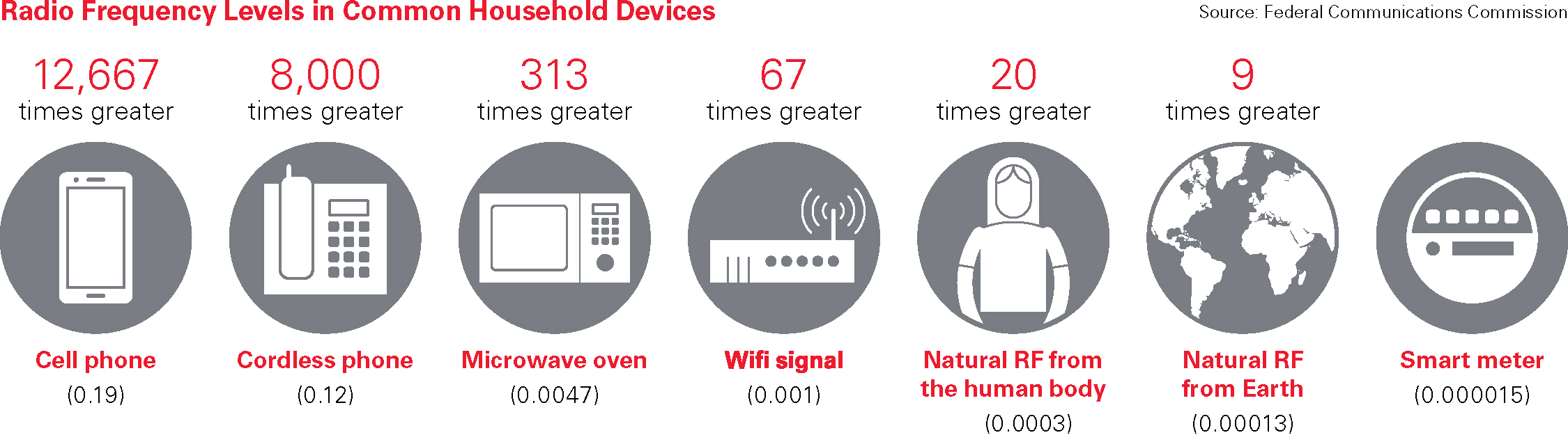 Smart Meters, Privacy, and Radio Frequency Xcel Energy